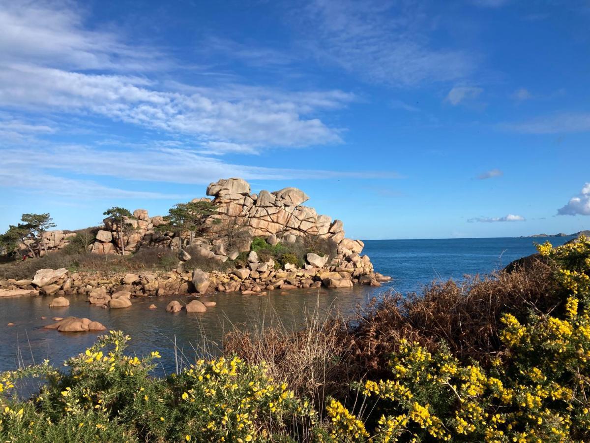 Les Hortensias A 50 M De La Plage De Trestraou Perros-Guirec Eksteriør bilde